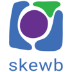 skewb logo